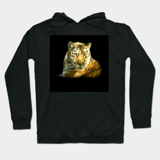 Tiger portrait Hoodie